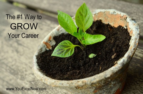 The #1 Way to Grow Your Career